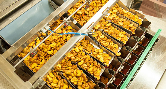 Ishida CCW线性称重仪称重饼干和饼干