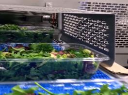 旋转沙拉填料高速灌装沙拉盘