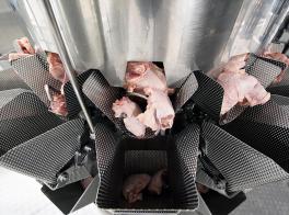 准确称重粘性肉，家禽等产品
