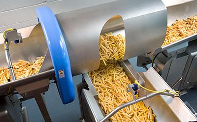在食品加工生产线中输送炸薯条雷电竞实时比分