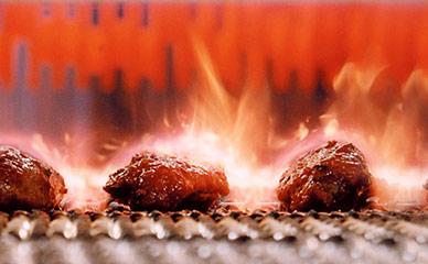 用于食品加工生产线的灼热肉和家禽产品雷电竞实时比分