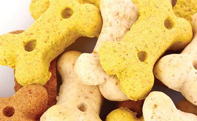 用于烘焙宠物食品和款式的工业烤箱