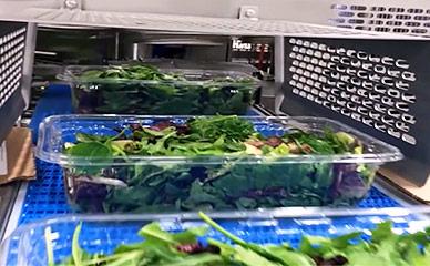 沙拉，水果和新鲜农产品的托盘填料